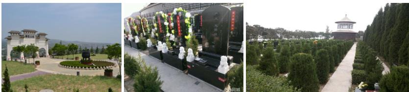 西安霸陵墓園新區圖片