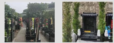 西安霸陵墓園新區怎么樣