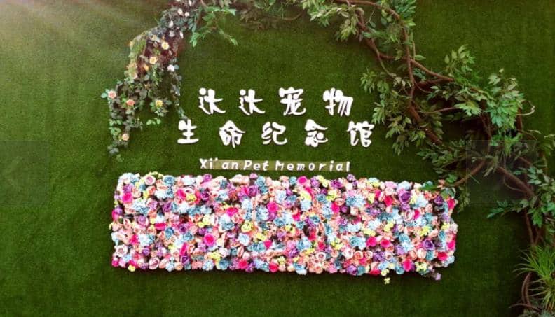 西安寵物墓地價(jià)格？西安寵物墓地在哪里？