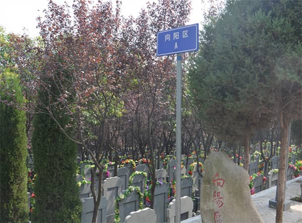 西安長安區風棲墓園圖片