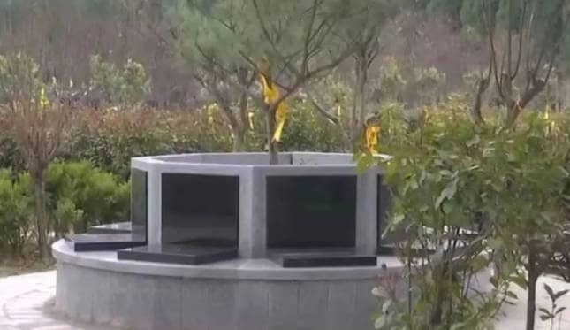 奉正塬公墓清明節公祭活動亮點紛呈,傳承中華孝道
