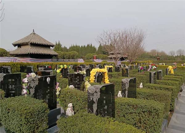 西安閻良漢皇樹(shù)葬墓園的環(huán)境和服務(wù)質(zhì)量如何,為何成為許多家庭選擇安息之地的理想之地?