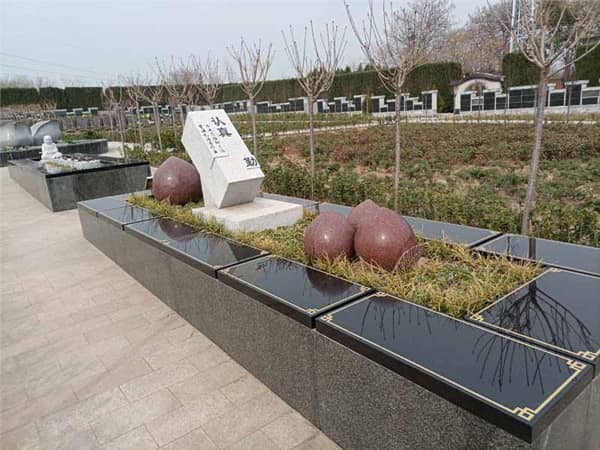 家屬如何前往西安漢皇樹葬墓園?有哪些推薦的交通方式?