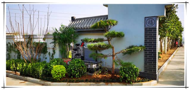 西安漢皇樹葬墓園文明祭掃規定, 綠色殯葬方式倡議