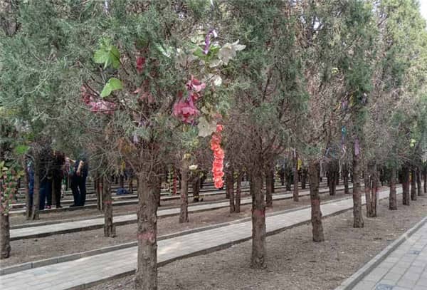 為什么九龍山公墓和漢皇樹葬墓園在西安市民中有較好的口碑？