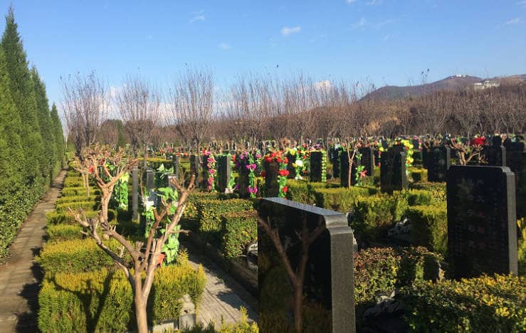 西安驪山墓園提供哪些類型的墓地,以及它們各自的特點是什么?