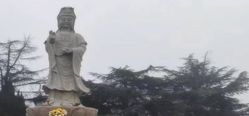 西安長(zhǎng)安區(qū)鳳棲山墓園南區(qū)已安葬的墓穴數(shù)量是多少?