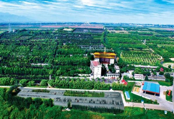 西安鳳棲山墓園的交通情況如何?