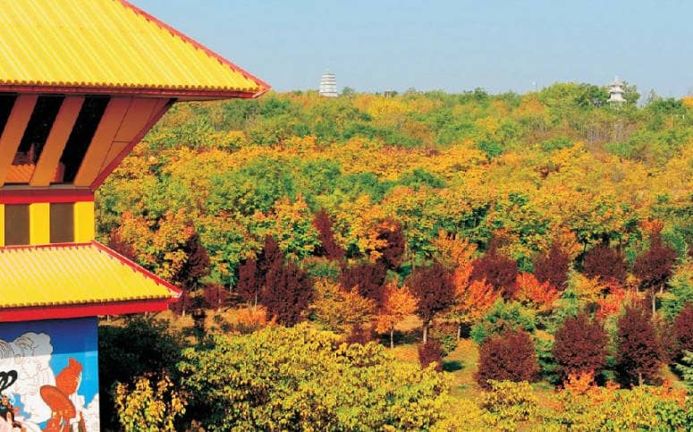 西安鳳棲山墓園的地理位置對其成為理想安息之地有何貢獻(xiàn)?