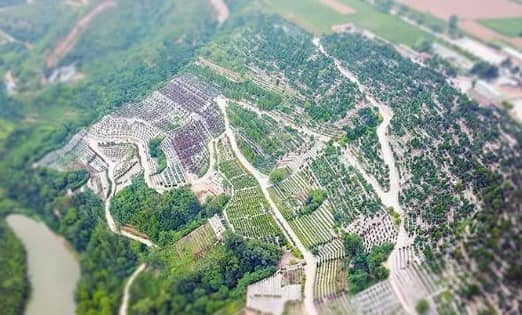 西安壽陽山墓園最近什么時候開園