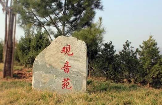 西安壽陽山墓園接待中心,省錢又省心!
