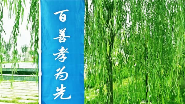 高橋墓園好還是壽陽山墓園好?