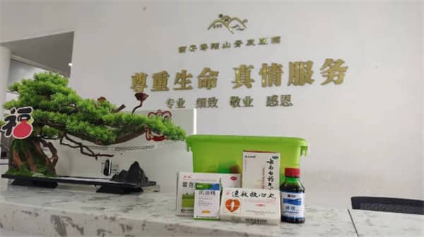 請(qǐng)問西安壽陽山墓園是如何將傳統(tǒng)殯葬文化與現(xiàn)代元素相結(jié)合的?
