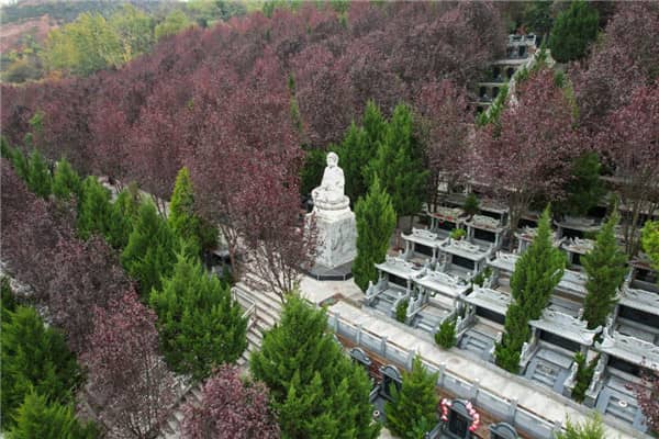 西安壽陽山墓園在歷經30年的發展后,有哪些顯著的進步和變化?