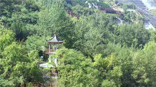 西安壽陽山墓園在日常服務中有哪些舉措體現了對市民的關懷和尊重？