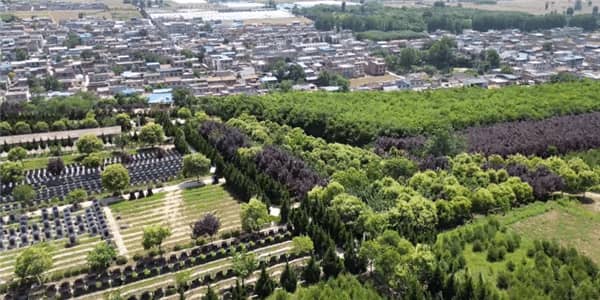 西安壽陽山公墓的雙穴立碑有哪些特點和寓意?
