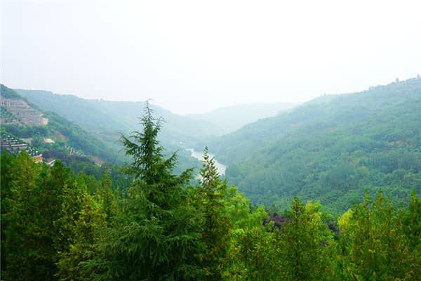 壽陽山墓地在哪里