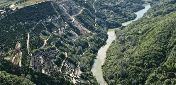 西安壽陽山墓園具體地址在哪怎么去