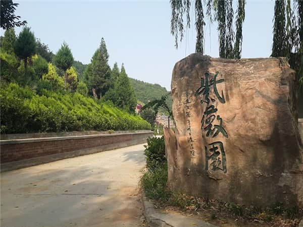 西安壽陽山墓園熱售碑型價格-山西黑碑