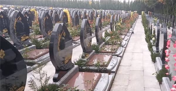 中元寄哀思 花下念故人 青山綠水壽陽山