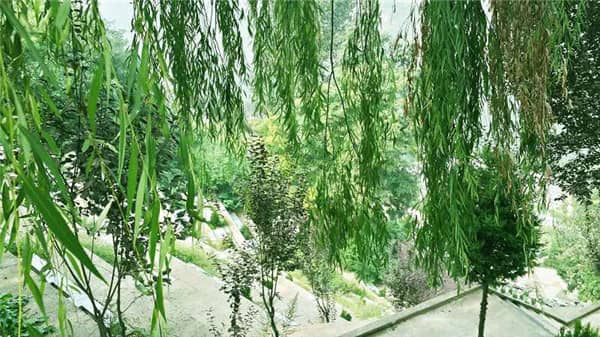 西安市壽陽山公墓天氣