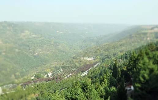 西安壽陽(yáng)山墓園位于哪個(gè)具體位置,其地理環(huán)境有何特點(diǎn)?