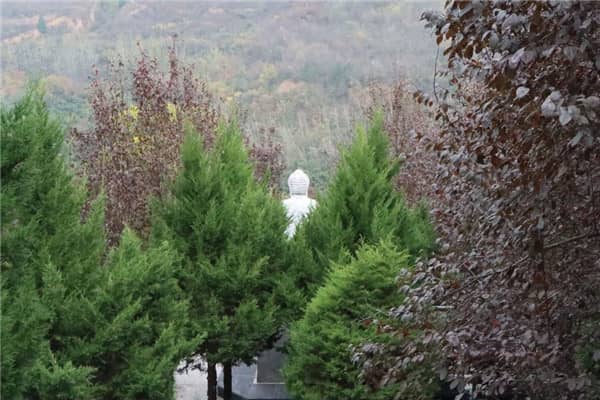 西安壽陽山公墓如何體現其服務的個性化？