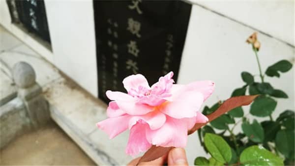 西安鯨魚溝風水格局解析與墓園環境優勢-西安壽陽山墓園風水寶地特色分析