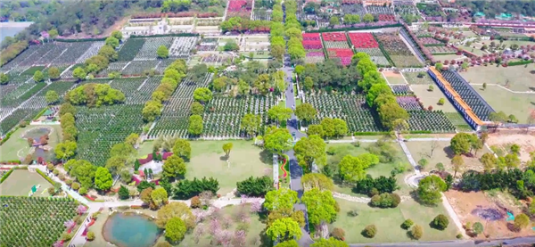 西安壽陽山公墓網站是哪個,陵園祭掃