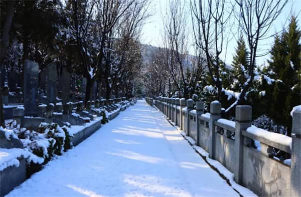 西安霸陵墓園新區(qū)文化特色與區(qū)位優(yōu)勢(shì)分析,西安傳統(tǒng)文化與現(xiàn)代殯葬融合典范