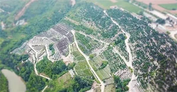 西安壽陽山墓園清明掃墓,陵園價格公開透明