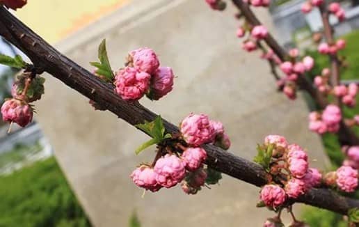 西安壽陽山墓園位于西安東南郊的鯨魚溝中段