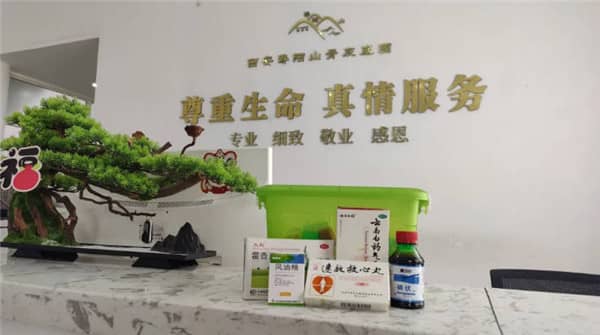壽陽山公墓位于西安市的哪個方位,其地理環境有何特色?