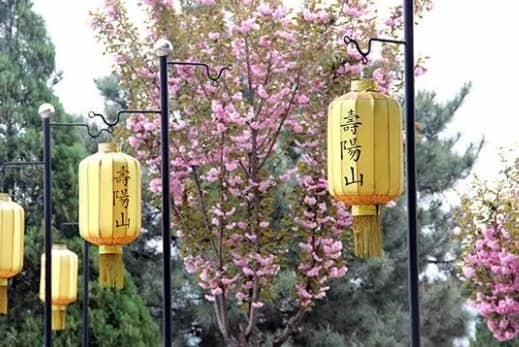 西安壽陽山陵園的位置在哪里,交通是否便利?
