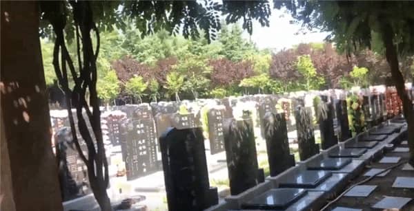 壽陽山墓園免費茶水供應