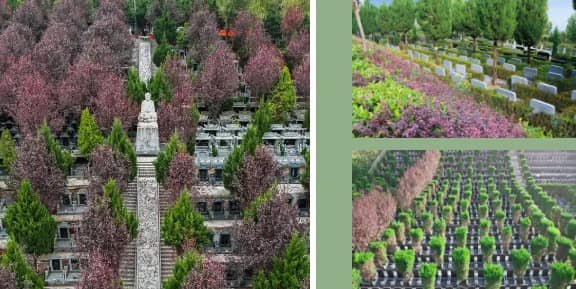 2025年壽陽山墓園價格與葬式解析_傳統與生態結合的殯葬新選擇