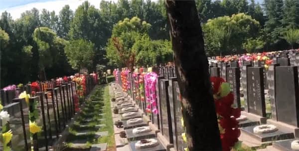 如何選擇壽陽山墓園葬式? | 綜合考慮預(yù)算與需求的最佳方案