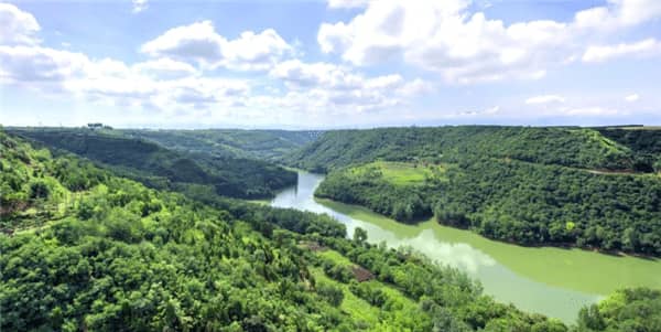 西安壽陽山墓園櫻花區(qū)美景與氛圍全覽：粉色花海與心靈慰藉