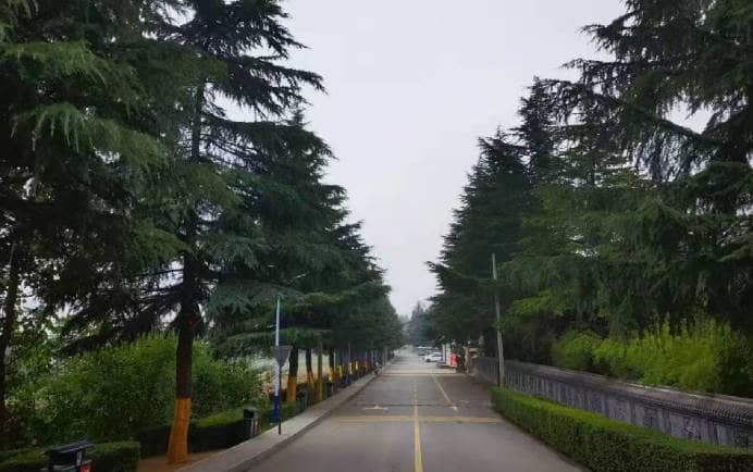 西安棗園山公墓,不負先人心