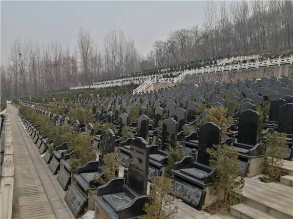 西安九龍山公墓在壁葬服務的維護和管理上有哪些措施？