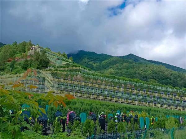 西安九龍山公墓區域劃分及價格體系全解析,十大墓區詳細價格對比