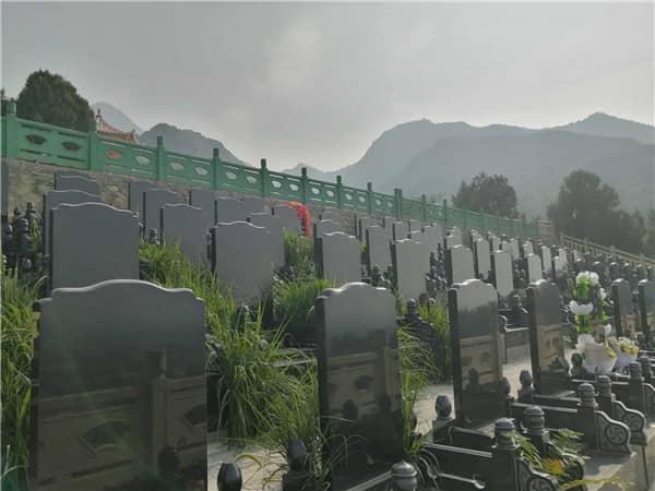 西安九龍山陵園墓地圖片，你知道幾個？