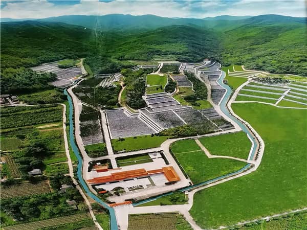 西安九龍山公墓傳統(tǒng)豪華龍鳳墓碑,千年古都文化傳承的典范之作
