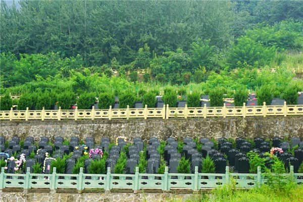 如果從西安市區(qū)出發(fā),駕車(chē)前往西安九龍山公墓的最佳高速線路是怎樣的?