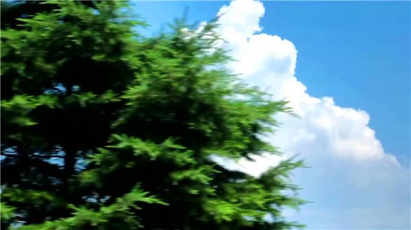 西安霸陵墓園位置地圖高清，為你的親人提供值得信任的墓地