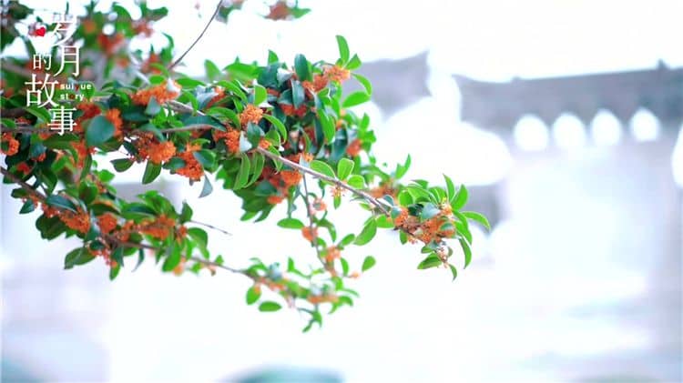 西安霸陵陵園的環(huán)境如何，對逝者和家屬有何特殊意義？
