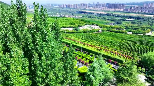 西安霸陵墓園新區:多樣化安葬方式滿足不同需求