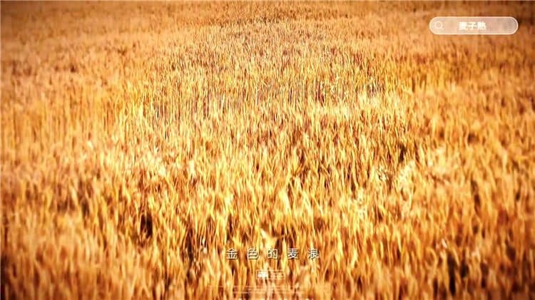 選擇西安霸陵陵園的樹(shù)葬服務(wù)有哪些好處?