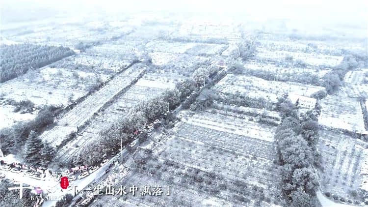西安霸陵墓園草坪墓,一鍵了解!