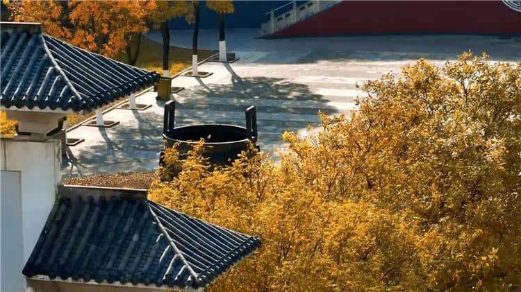 西安霸陵陵園新區(qū)如何體現(xiàn)對逝者的尊崇和敬意？